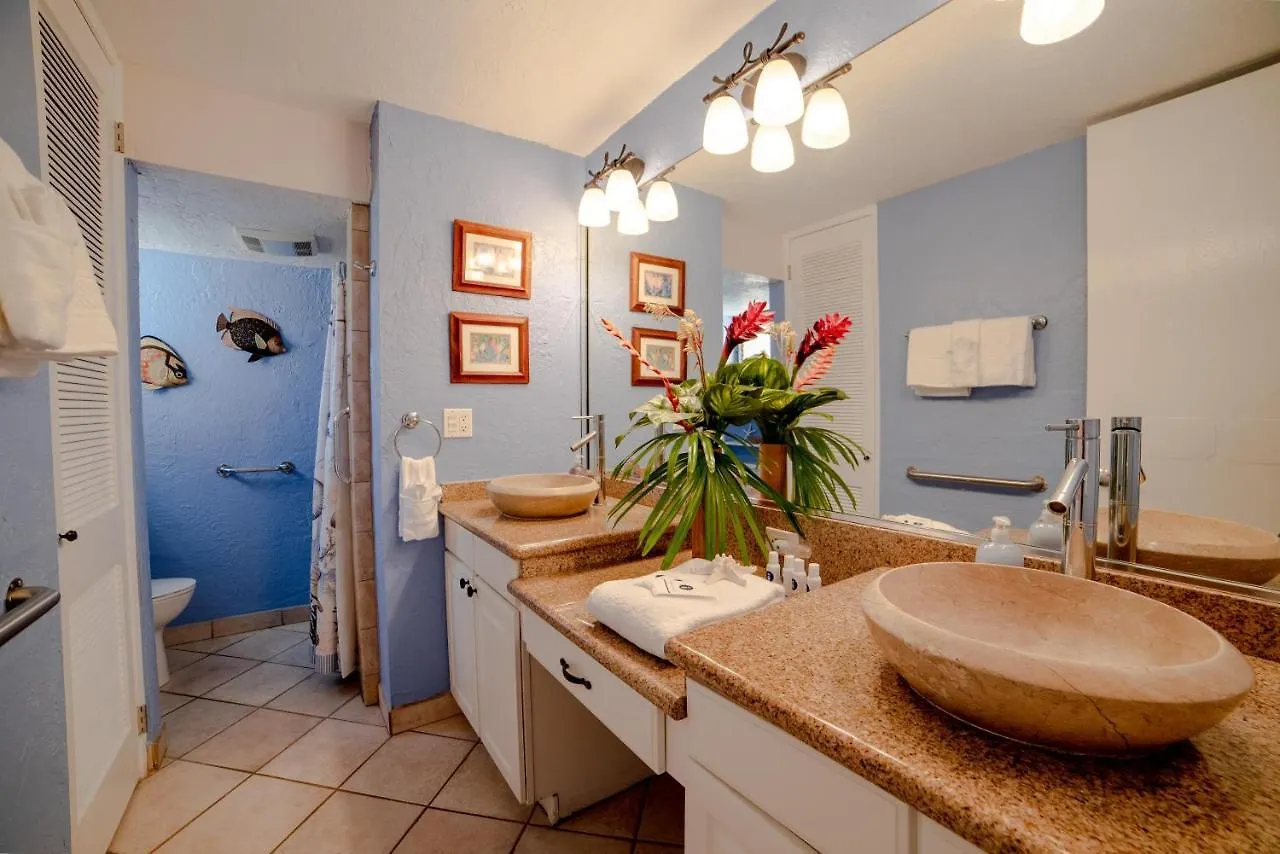 Holiday home Papakea A301 Villa Kahana United States