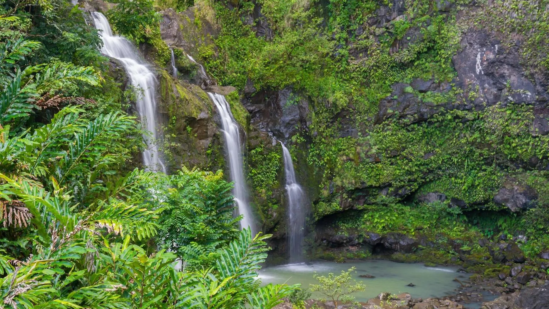 Papakea A301 Villa Kahana